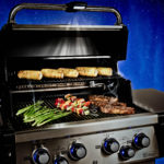 BK_Regal S 490 PRO_Grill Light_01
