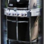 DÉTACHANT POUR TACHES TENACES WEBER-0