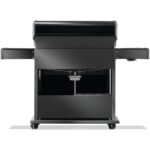 Low Res_JPG-Rogue-RP625SIBPK-2-Prod-Str-Back_RGB