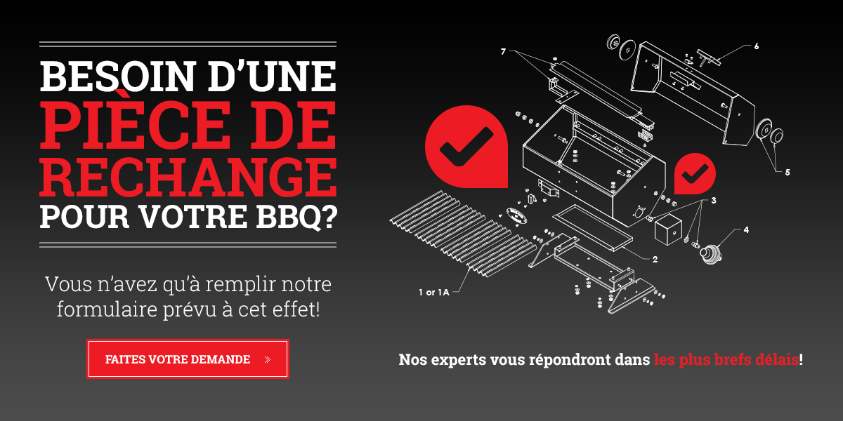 https://bbqprestige.districtweb.dev/recherche-de-pieces/