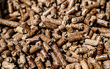 Granule