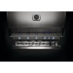Low Res_JPG-Built-In-Details-Rotiss-Storage-KnobsOff-Lit