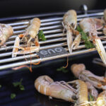 etagere_repos_plancha_ENO-2