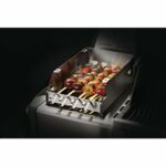 Low Res_JPG-71301-Windscreen-Large-InUse-Skewers