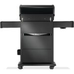 Low Res_JPG-Rogue-RPS425RSIBPK-2-PHM_Prod_Str_Back_