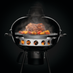 Web_400px-67745-Charcoal-Diffuser-Ring-InUse