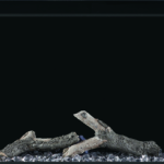 Hi Res Print-Trivista-50-NEFB50-3SV-Prod-Str-Logs