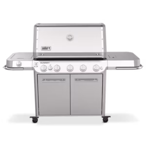 Weber Summit FS38 S NG