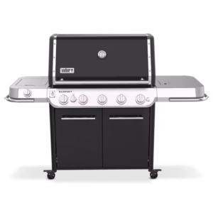 Weber Summit FS38 E NG