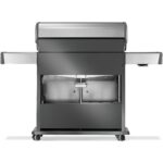 Low Res_JPG-Rogue-RP625RSIBPSS-2-Prod-Str-Back