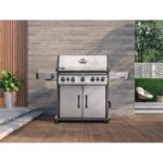 Low Res_JPG-Rogue-RPS625RSIBPSS-2-Life