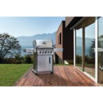 Low Res_JPG-Rogue_RPS425RSIBPSS-2_Life