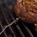 WIRED-PREMIUM-3-SENSOR-FOOD-PROBE_1080x1080_4