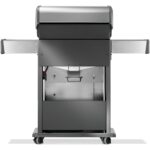 Low Res_JPG-Rogue-R425PSS-2-Prod-Str-Back