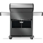 Low Res_JPG-Rogue-R525PSS-2-Prod-Str-Back