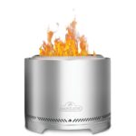 Napoleon Foyer sans fumée Timberwolf 22 pouces